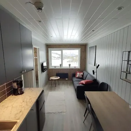 Utleieleilighet 4 Sengeplasser Og Ut Apartment *