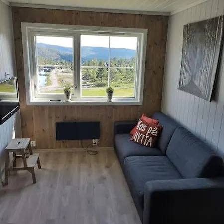 Apartman Utleieleilighet 4 Sengeplasser Og Ut *