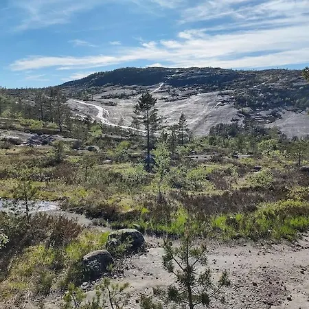 Utleieleilighet 4 Sengeplasser Og Ut