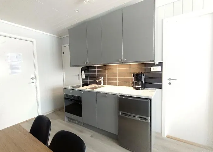 Utleieleilighet 4 Sengeplasser Og Ut *