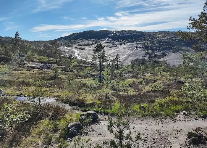 Utleieleilighet 4 Sengeplasser Og Ut