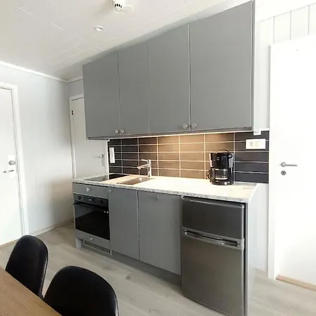 Utleieleilighet 4 Sengeplasser Og Ut *